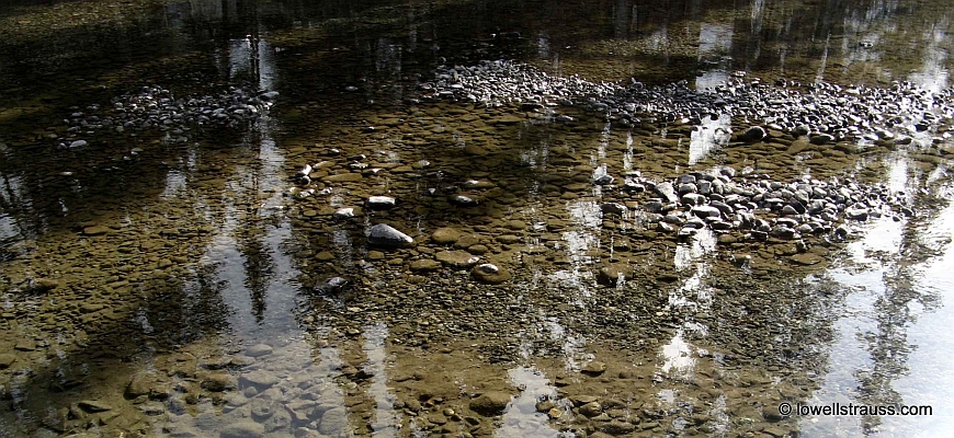 Image of a mountain stream with reflections of trees
