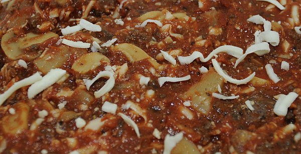 close up of a bush pie pizza mixture