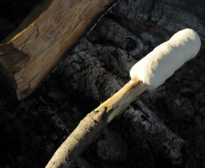 bannock ready to cook