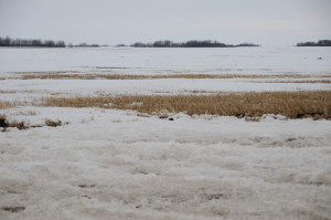 Saskatchewan field conditions April 19, 2013