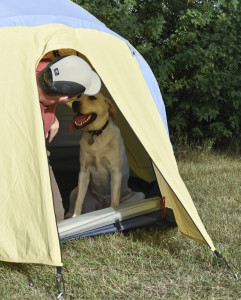 yellow lab and master in the tent